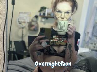 Overnightfaun