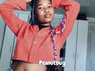 Peanutbug