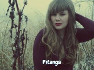 Pitanga