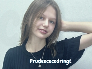 Prudencecodringt