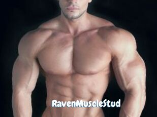 RavenMuscleStud