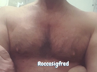 Roccosigfred