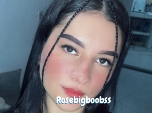 Rosebigboobss