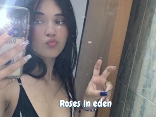 Roses_in_eden