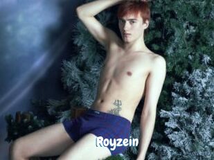 Royzein