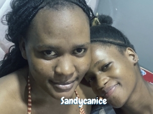 Sandycanice