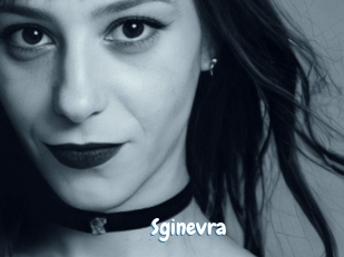 sginevra Coquine Avenue