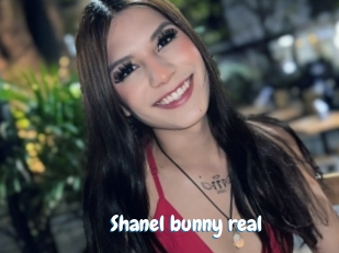 Shanel_bunny_real