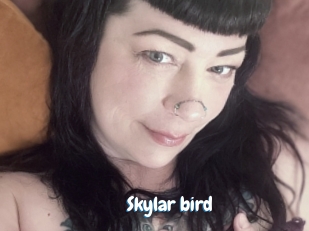 Skylar_bird