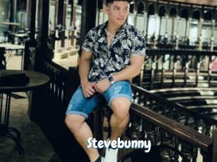 Stevebunny