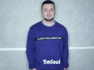 TimSoul