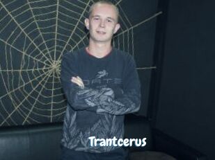 Trantcerus
