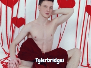 Tylerbridges