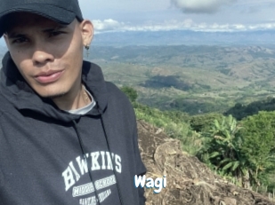 Wagi