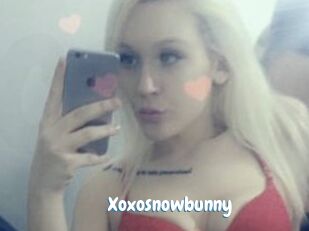 Xoxosnowbunny