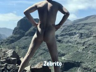 Zebrito