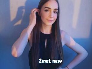 Zinet_new