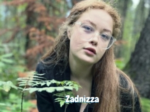 Zadnizza