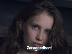 Zaragoodhart