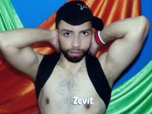 Zevit