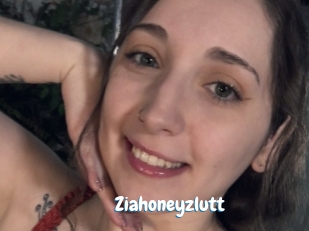 Ziahoneyzlutt